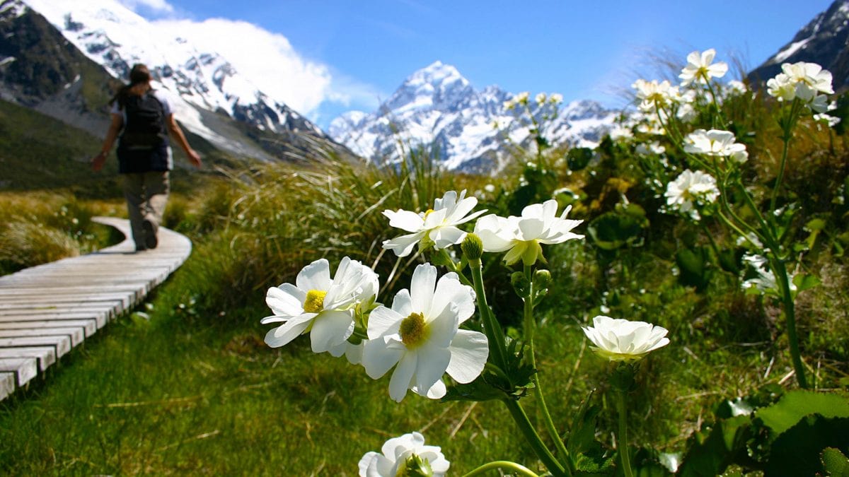 South Canterbury District Website