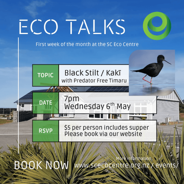Eco talks Black Stilt May 2026 (1)