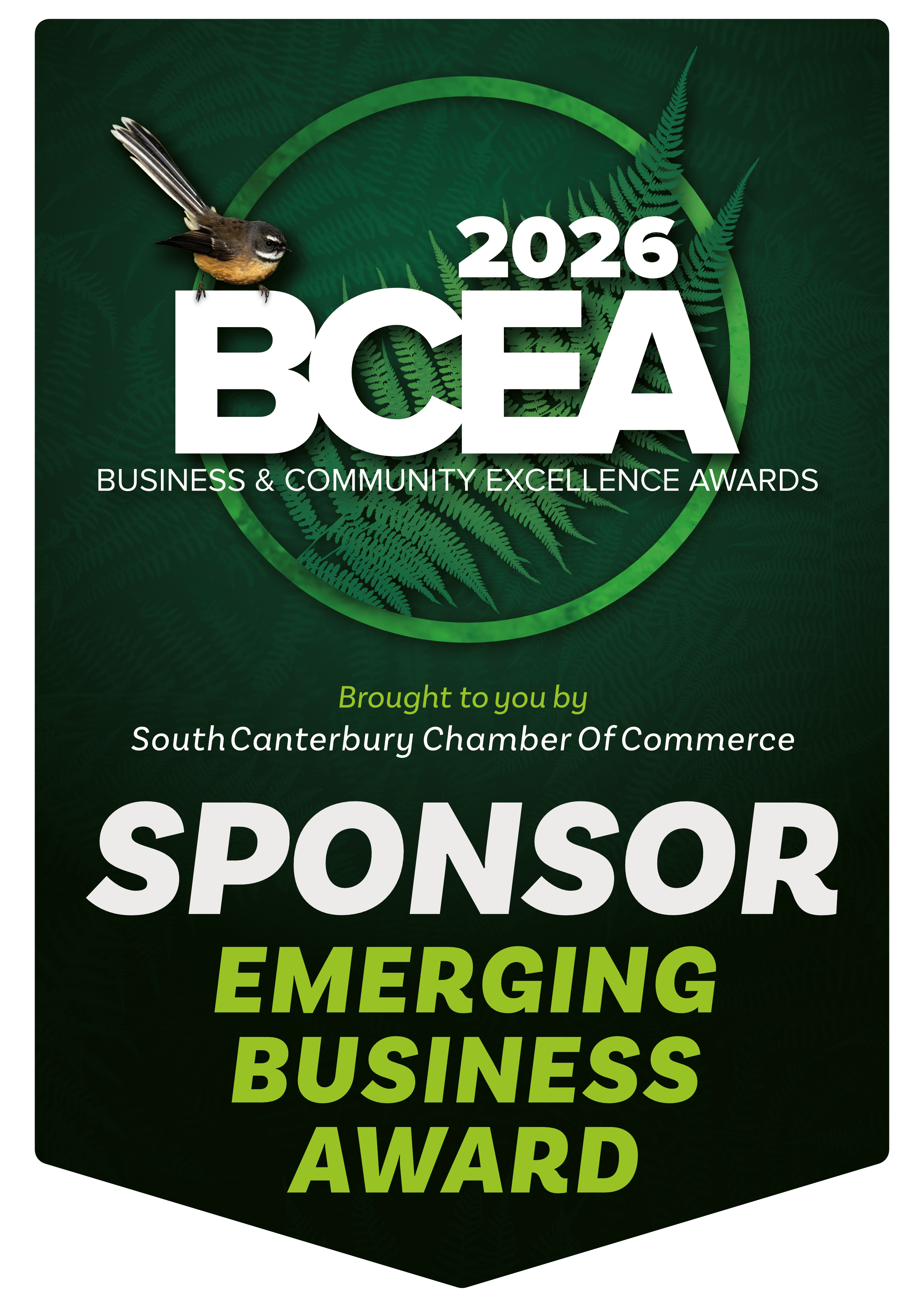 Sponsor flag Emerging Business Award BCEA 2026