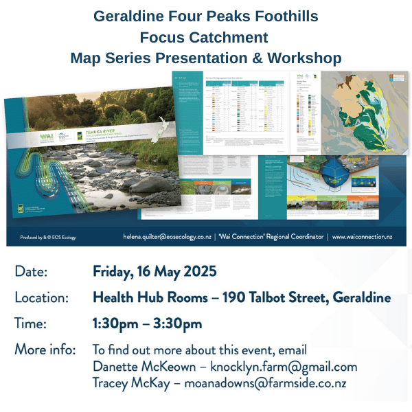 Geraldine Four Peaks Foothills Focus Catchment