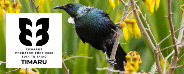 Predator Free Timaru