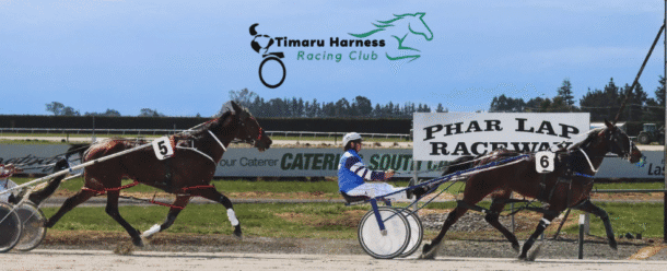 Timaru Harness Racing Club_Organiserlocation details_What’s On Event Calendar_South Canterbury