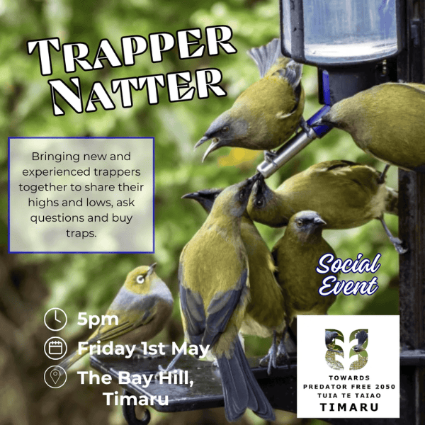 Trapper Natter