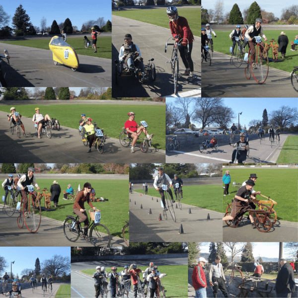 Waimate Cycle