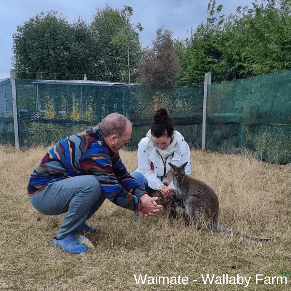 Wallaby Farm Waimate - Discover Taxis (1)